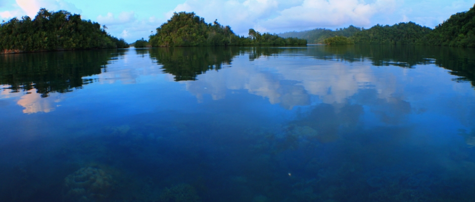 Togean Reef and Forest